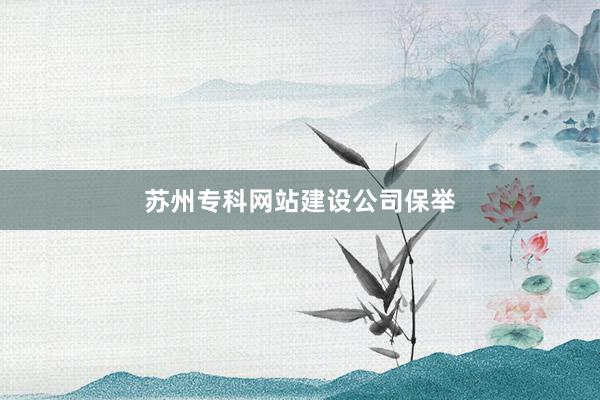 苏州专科网站建设公司保举