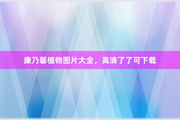 康乃馨植物图片大全，高清了了可下载