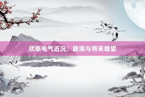 欣泰电气近况：窘境与将来瞻望