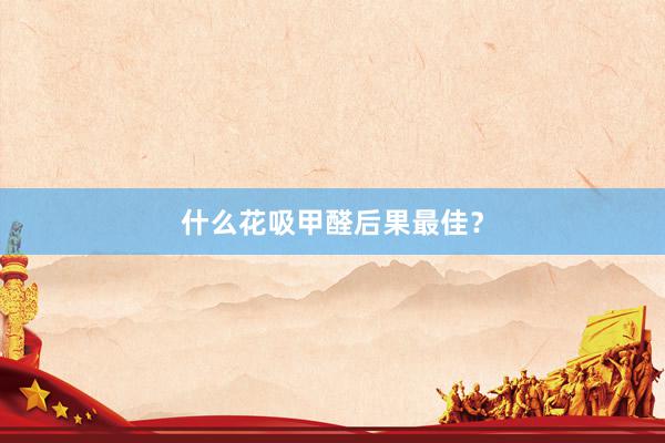 什么花吸甲醛后果最佳？